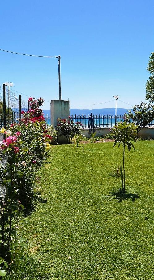 Amarynthos Beachfront Vacation House With Garden Vatheia Kültér fotó