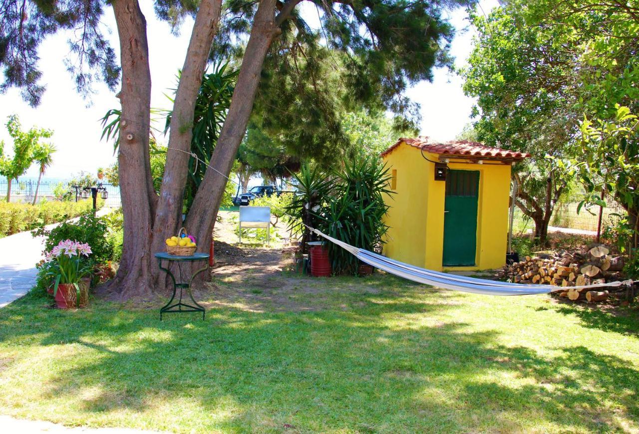Amarynthos Beachfront Vacation House With Garden Vatheia Kültér fotó
